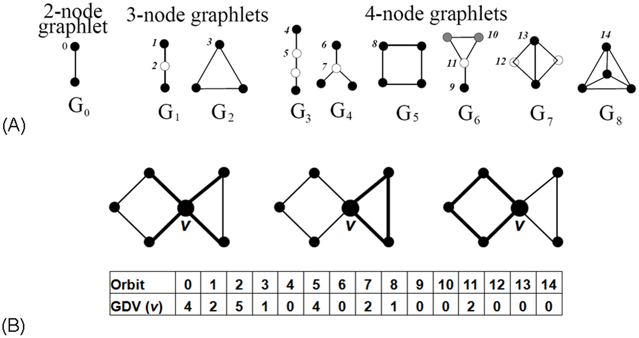 Network Motifs